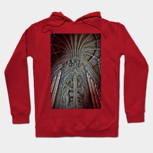 Spain. Salamanca. San Esteban Church. Cloisters. Sculpture. Hoodie